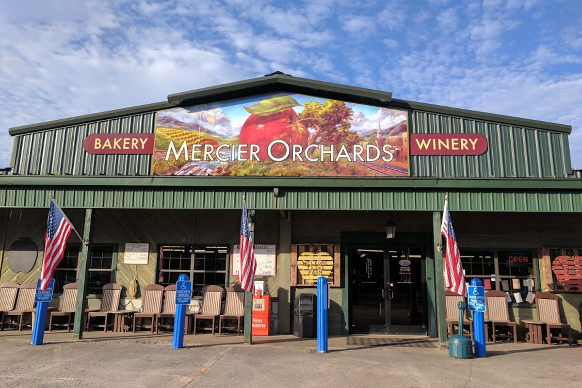 Mercier Apple Orchards & wine tastings 